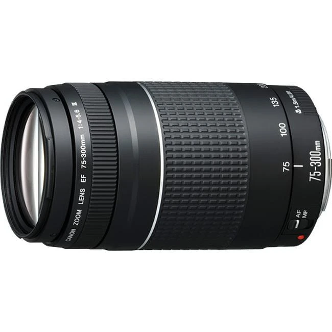 Canon EF 75-300mm f/4-5.6 III Lens at CamerasDori